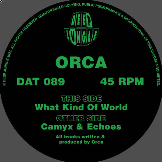 Label art of Orca - What Kind of World, 12-inch black vinyl release on Deep Jungle