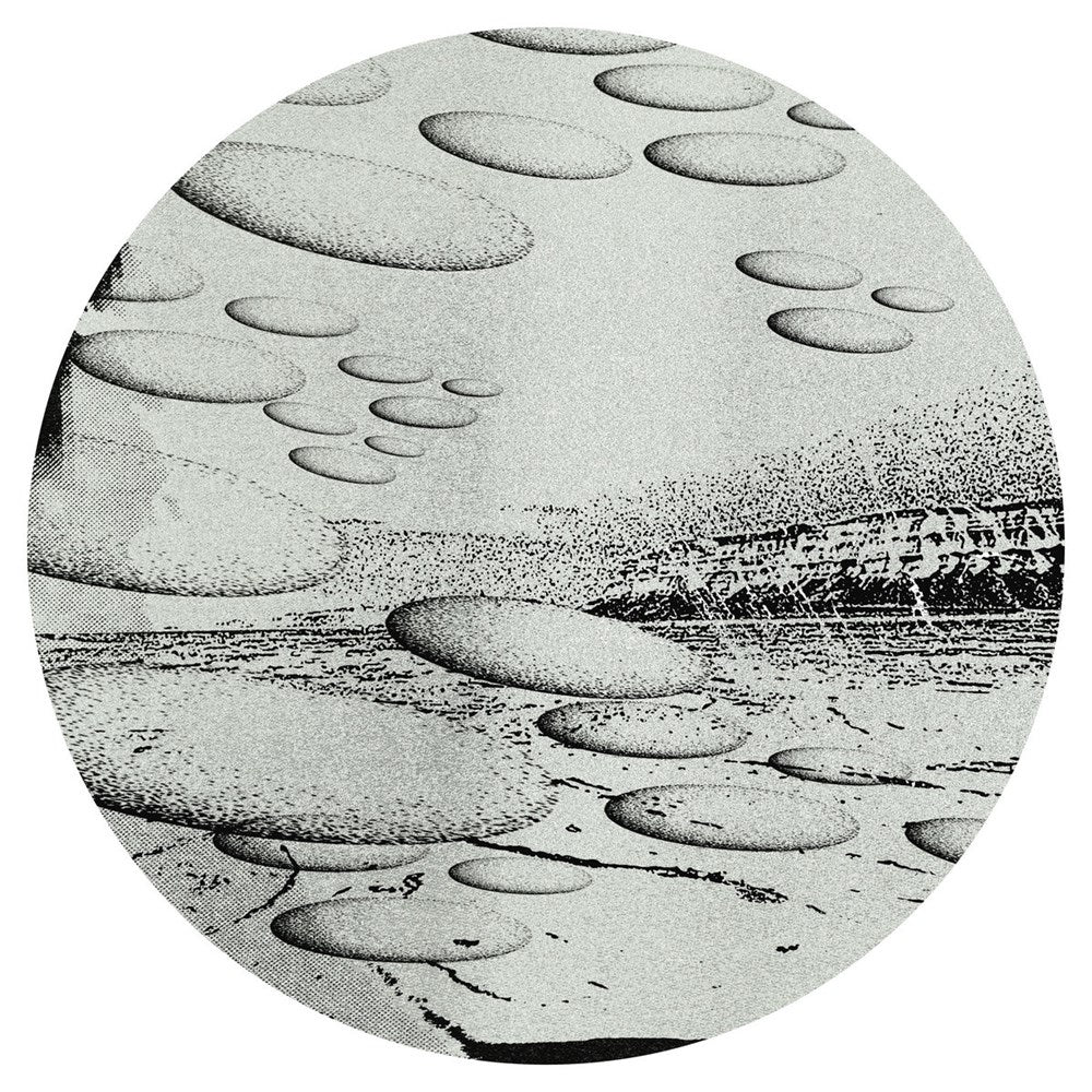 Label art from Liquid Silk - FR029 - 12" vinyl release on Future Retro London