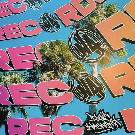 cover art of Fluid Haunts - Palm Tree Hill - vinyl release on N4
