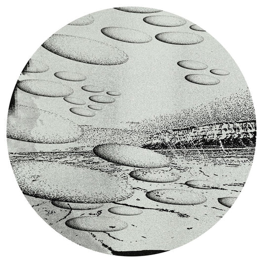 Label art from Liquid Silk - FR029 - 12" vinyl release on Future Retro London
